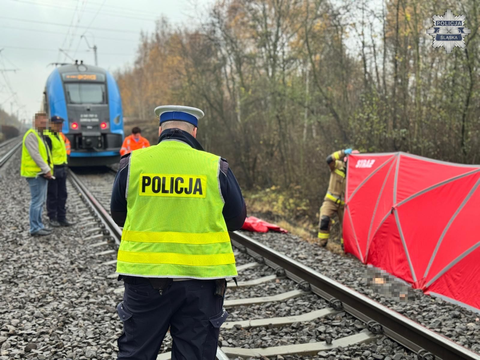 Ruda Śląska. Linia Kolejowa Nr 137 – śmiertelne potracenie przez pociąg. 10 listopada 2025.