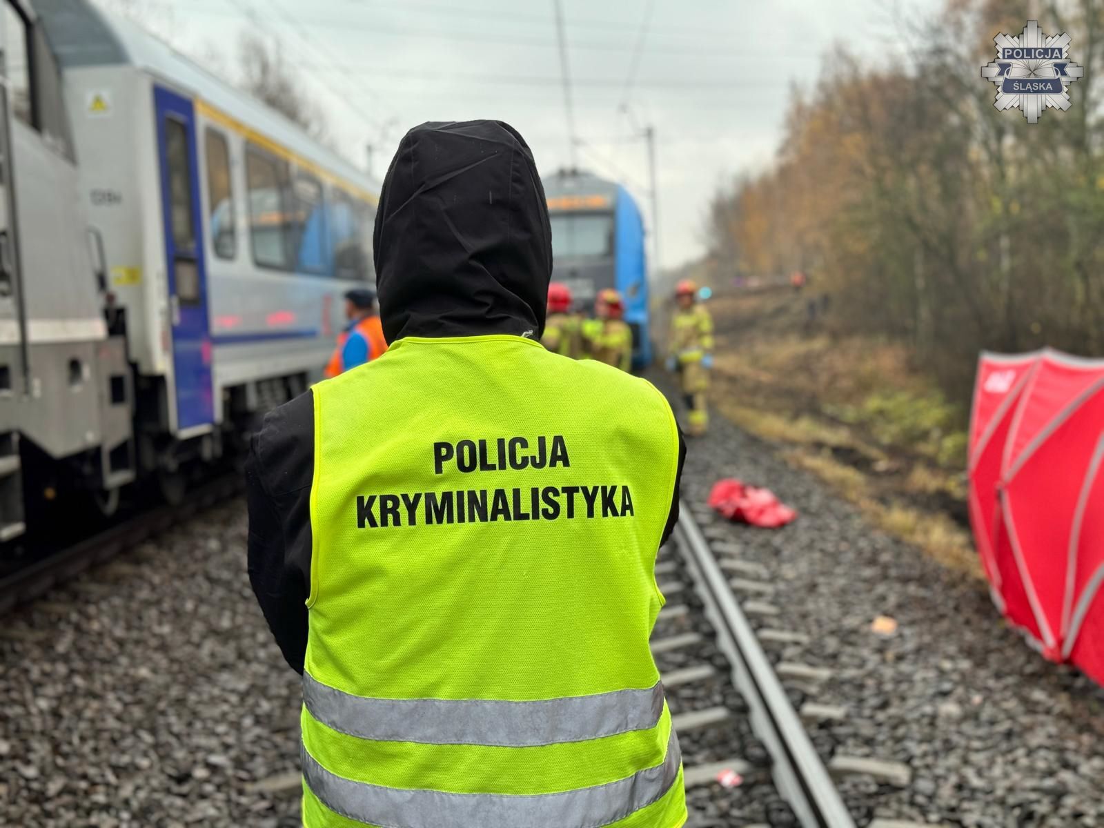 Ruda Śląska. Linia Kolejowa Nr 137 – śmiertelne potracenie przez pociąg. 10 listopada 2025.