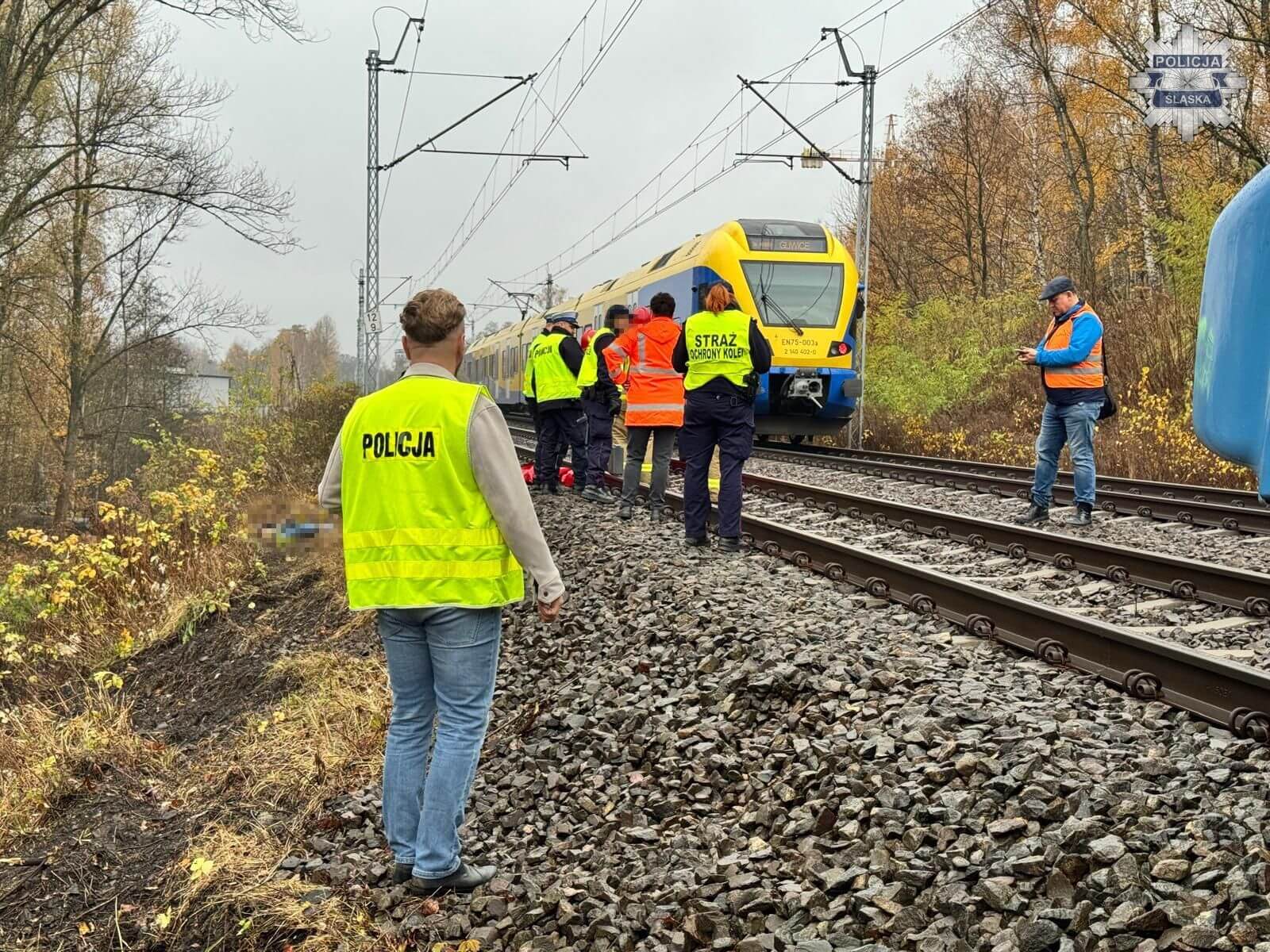 Ruda Śląska. Linia Kolejowa Nr 137 – śmiertelne potracenie przez pociąg. 10 listopada 2025.