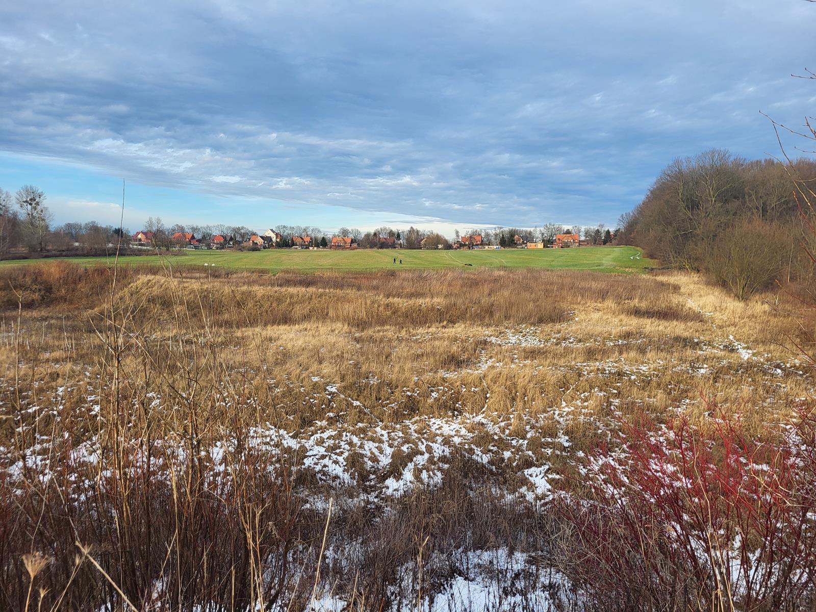 Rudzka Kuźnica widziana z dawnej linii kolei piaskowej