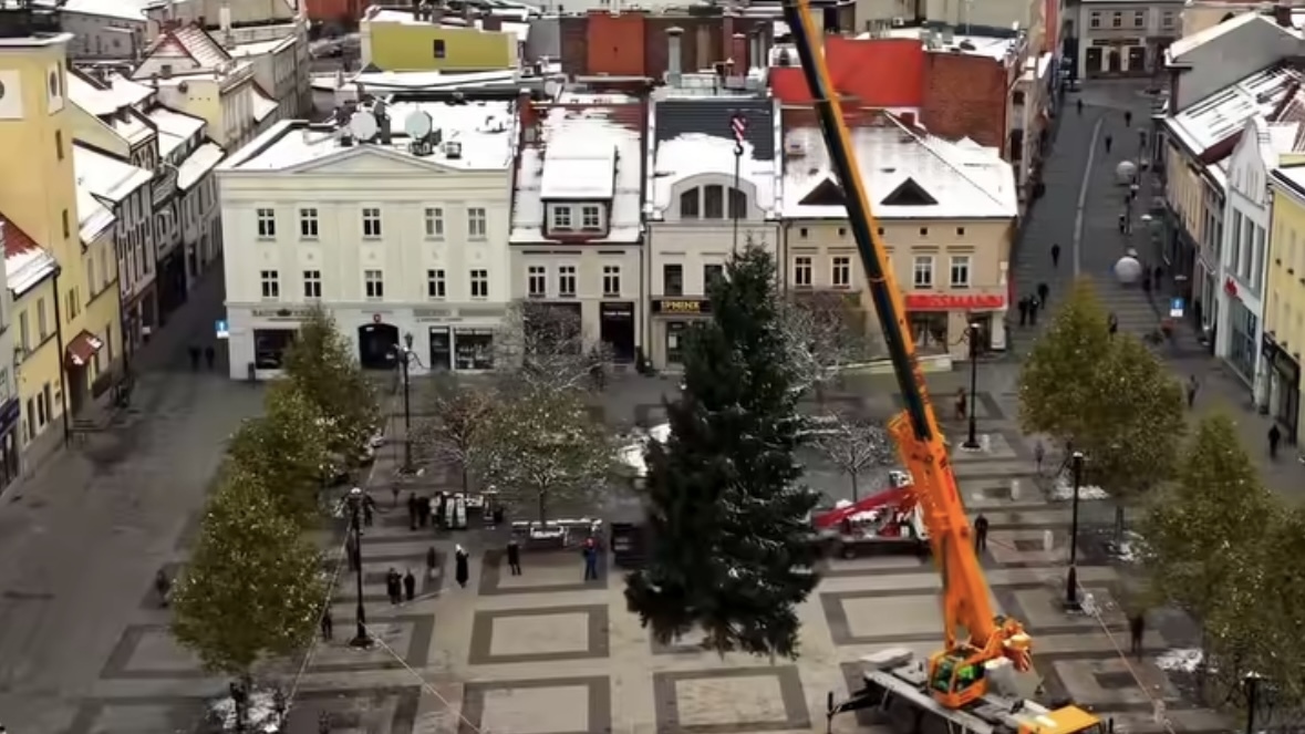 Na rynku w Rybniku stanęła choinka. Drzewko pochodzi z ogrodu mieszkańców miasta