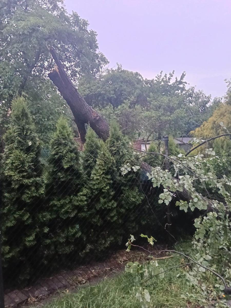 Skutki burzy w Mikołowie