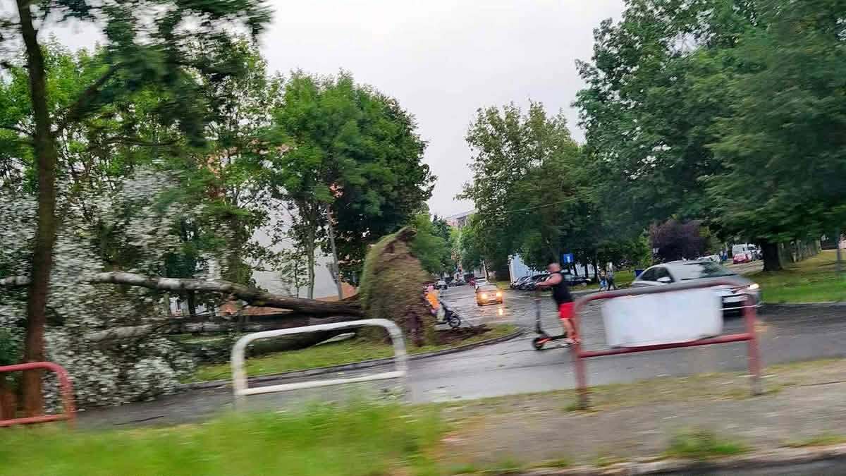 Skutki burzy w Lasowicach
