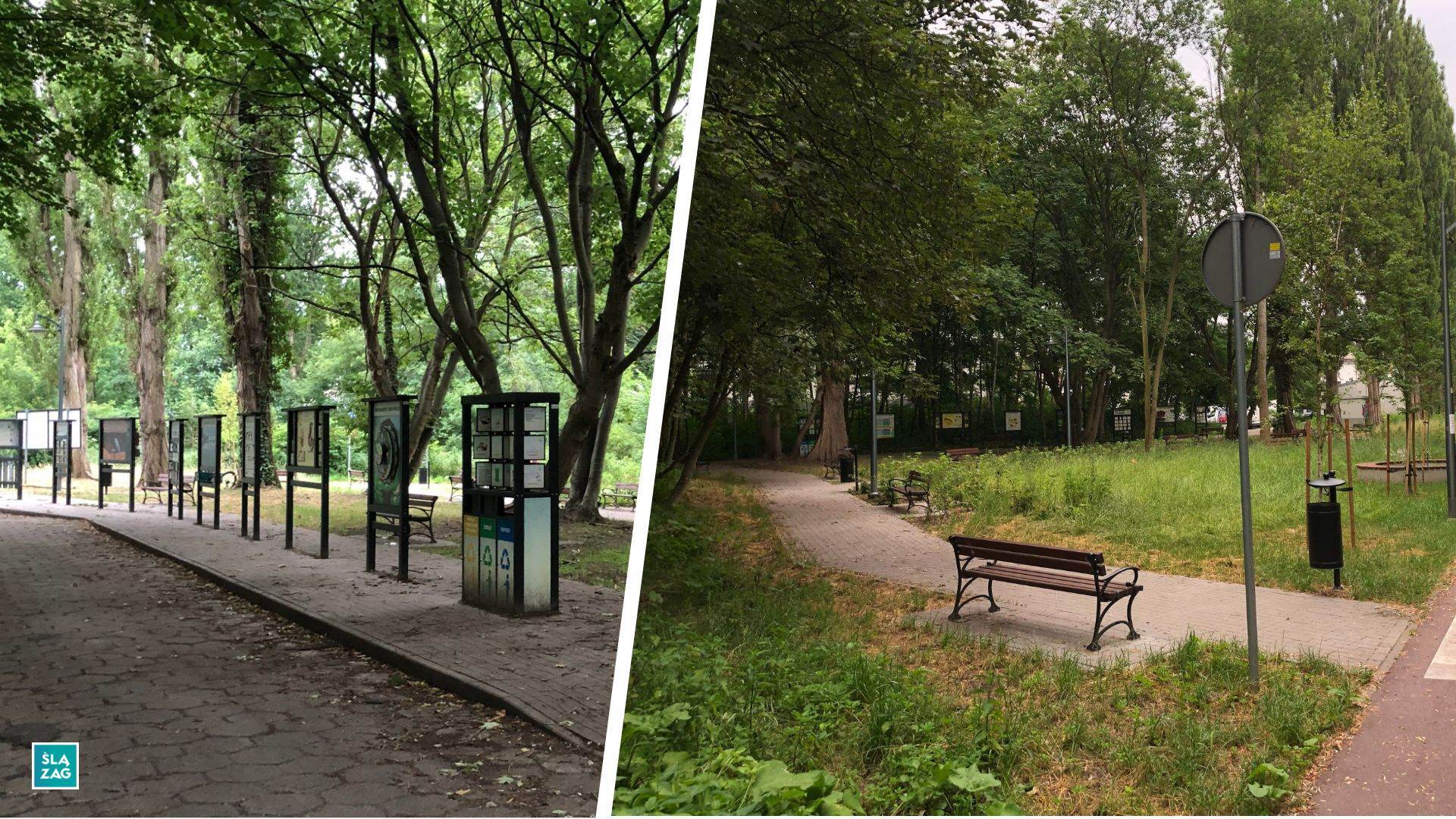 Sosnowiec-Dębowa Gora. Bulwary Czarnej Przemszy Park Edukacyjno–Przyrodniczy. 1 Lipca 2026