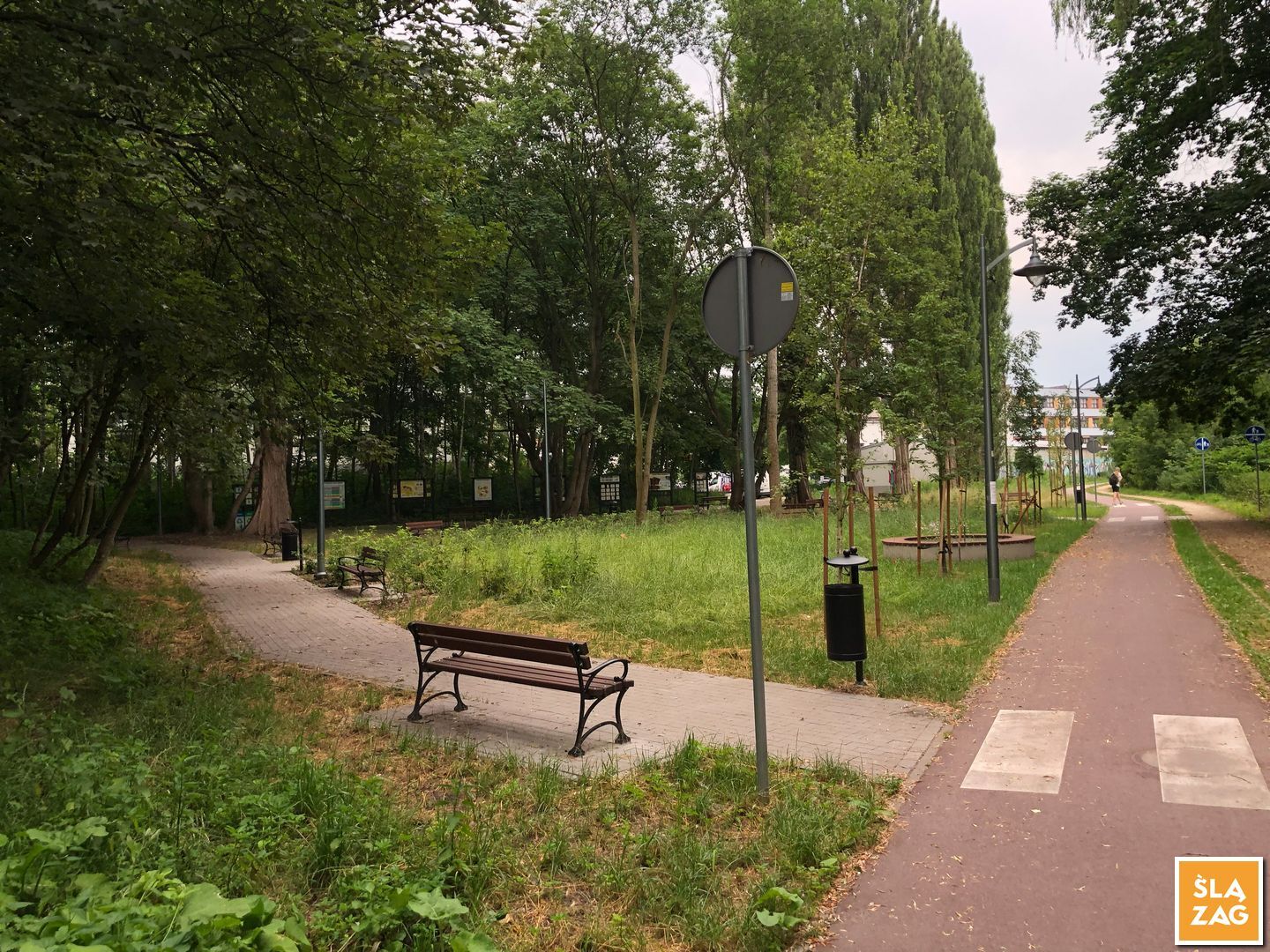 Sosnowiec-Dębowa Gora. Bulwary Czarnej Przemszy Park Edukacyjno–Przyrodniczy. 1 Lipca 2026