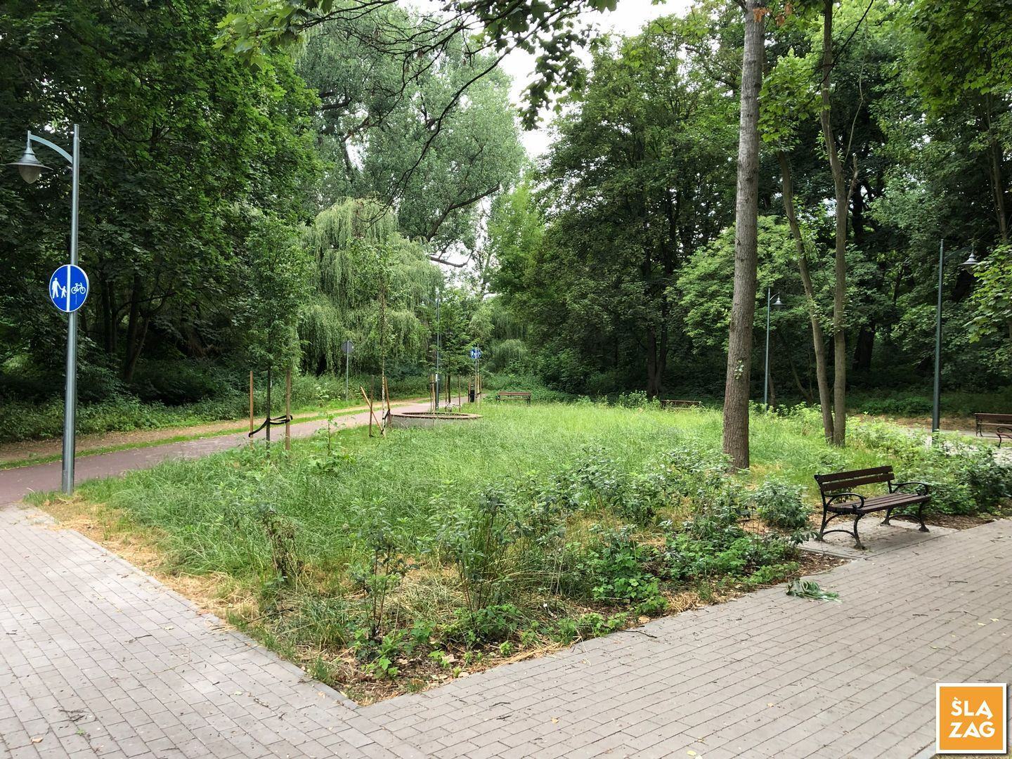 Sosnowiec-Dębowa Gora. Bulwary Czarnej Przemszy Park Edukacyjno–Przyrodniczy. 1 Lipca 2026