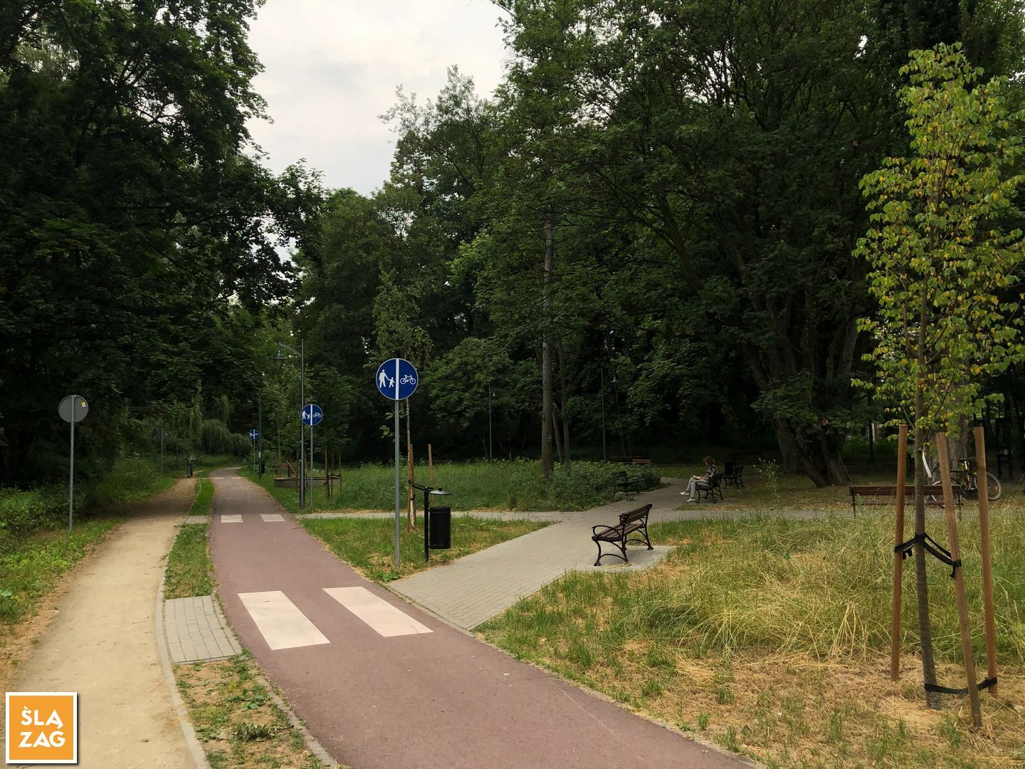 Sosnowiec-Dębowa Gora. Bulwary Czarnej Przemszy Park Edukacyjno–Przyrodniczy. 1 Lipca 2026