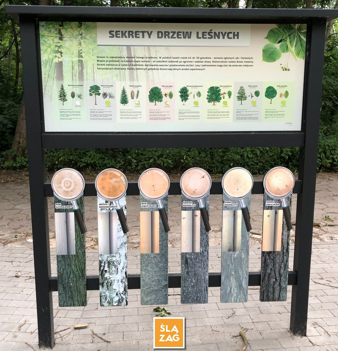 Sosnowiec-Dębowa Gora. Bulwary Czarnej Przemszy Park Edukacyjno–Przyrodniczy. 1 Lipca 2026