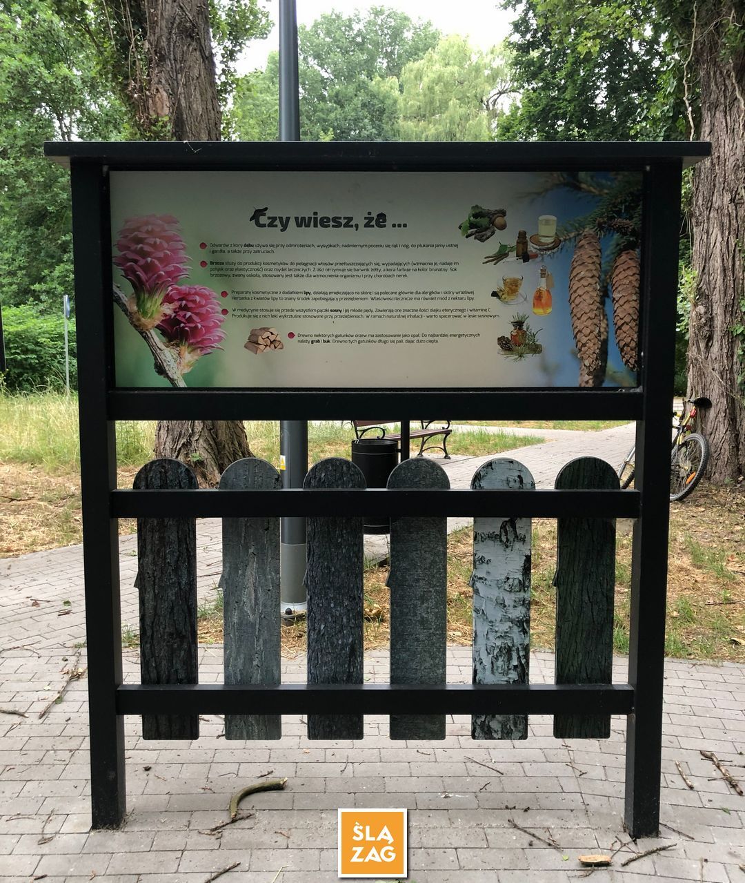 Sosnowiec-Dębowa Gora. Bulwary Czarnej Przemszy Park Edukacyjno–Przyrodniczy. 1 Lipca 2026