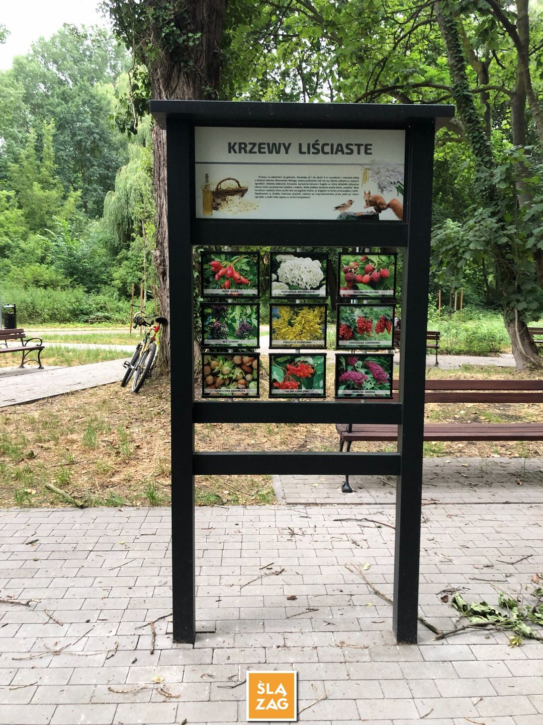 Sosnowiec-Dębowa Gora. Bulwary Czarnej Przemszy Park Edukacyjno–Przyrodniczy. 1 Lipca 2026