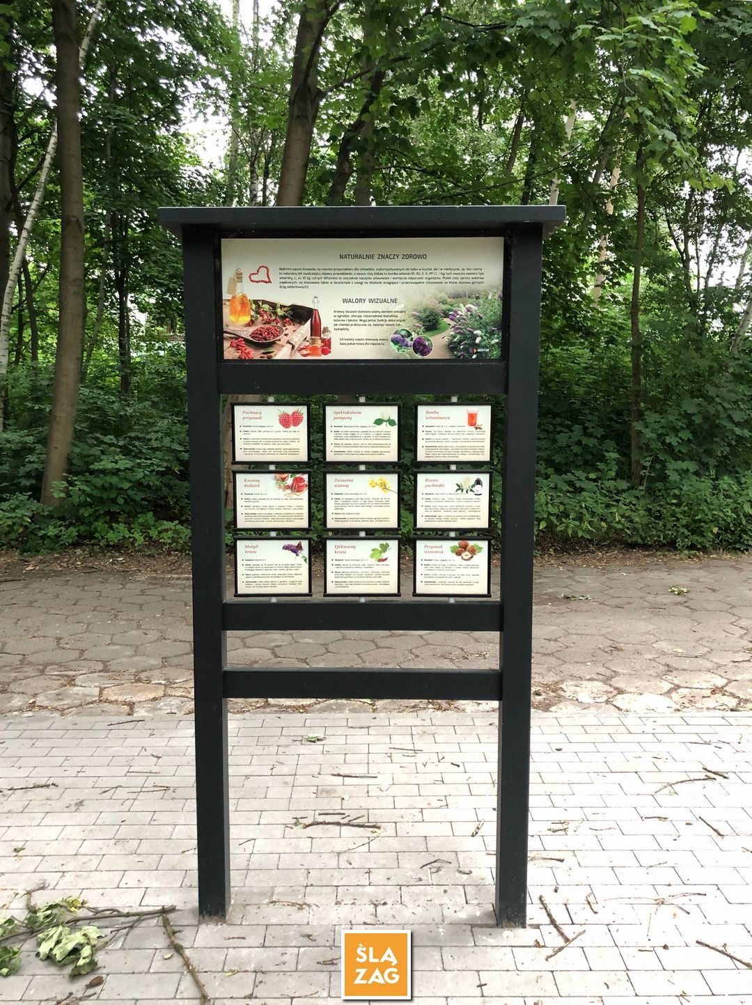 Sosnowiec-Dębowa Gora. Bulwary Czarnej Przemszy Park Edukacyjno–Przyrodniczy. 1 Lipca 2026