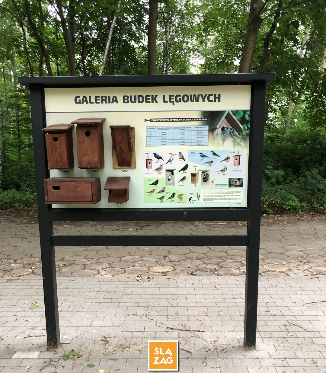 Sosnowiec-Dębowa Gora. Bulwary Czarnej Przemszy Park Edukacyjno–Przyrodniczy. 1 Lipca 2026