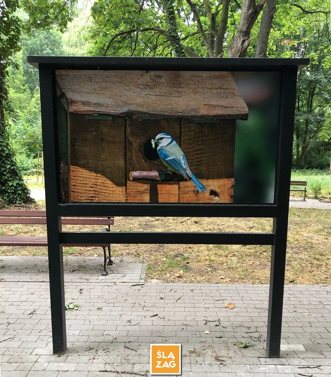 Sosnowiec-Dębowa Gora. Bulwary Czarnej Przemszy Park Edukacyjno–Przyrodniczy. 1 Lipca 2026