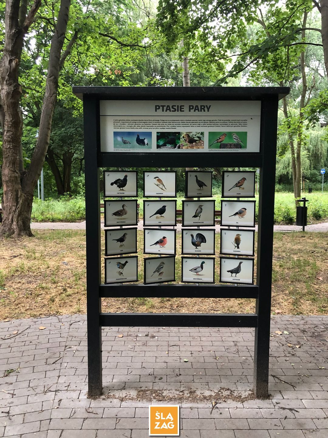 Sosnowiec-Dębowa Gora. Bulwary Czarnej Przemszy Park Edukacyjno–Przyrodniczy. 1 Lipca 2026