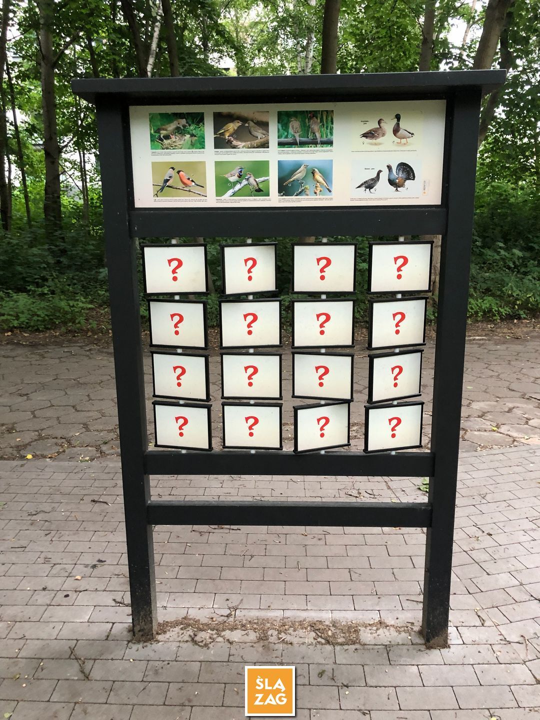 Sosnowiec-Dębowa Gora. Bulwary Czarnej Przemszy Park Edukacyjno–Przyrodniczy. 1 Lipca 2026