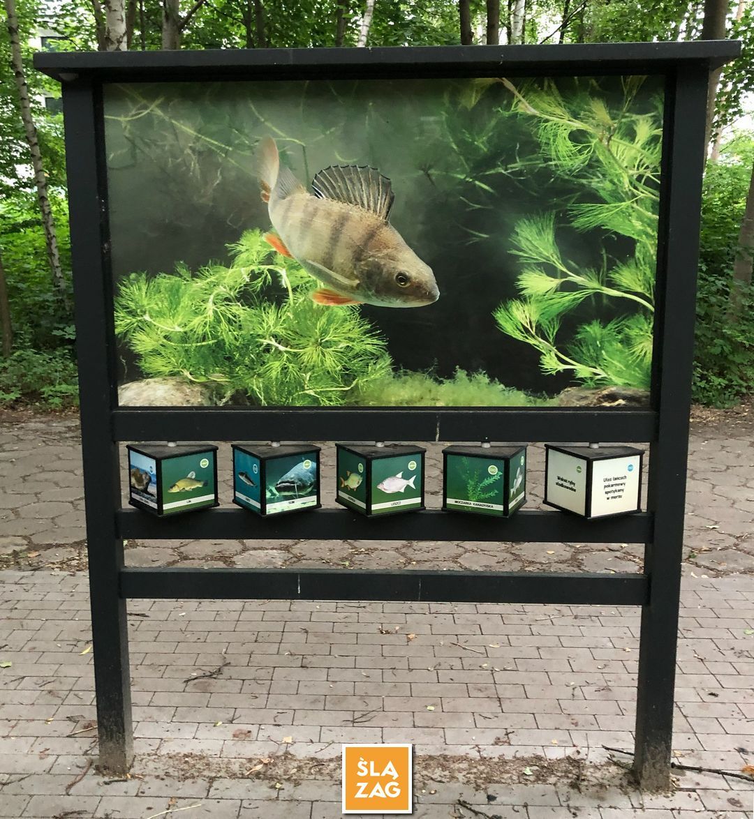 Sosnowiec-Dębowa Gora. Bulwary Czarnej Przemszy Park Edukacyjno–Przyrodniczy. 1 Lipca 2026