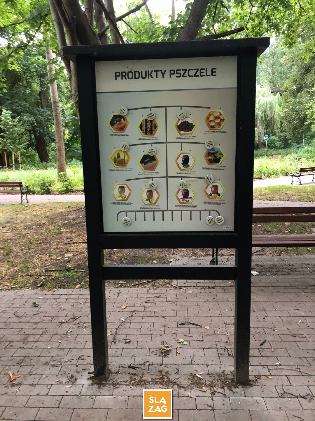 Sosnowiec-Dębowa Gora. Bulwary Czarnej Przemszy Park Edukacyjno–Przyrodniczy. 1 Lipca 2026