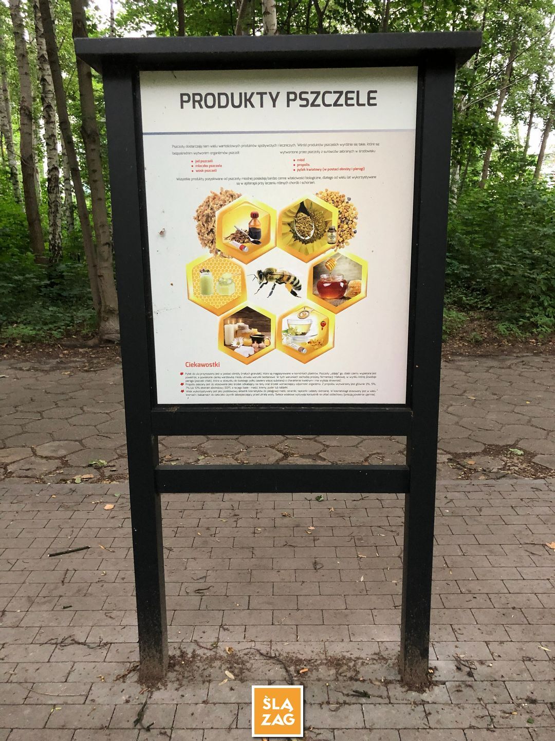 Sosnowiec-Dębowa Gora. Bulwary Czarnej Przemszy Park Edukacyjno–Przyrodniczy. 1 Lipca 2026