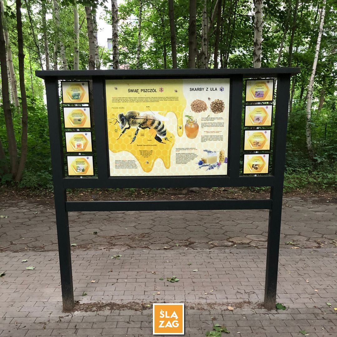 Sosnowiec-Dębowa Gora. Bulwary Czarnej Przemszy Park Edukacyjno–Przyrodniczy. 1 Lipca 2026