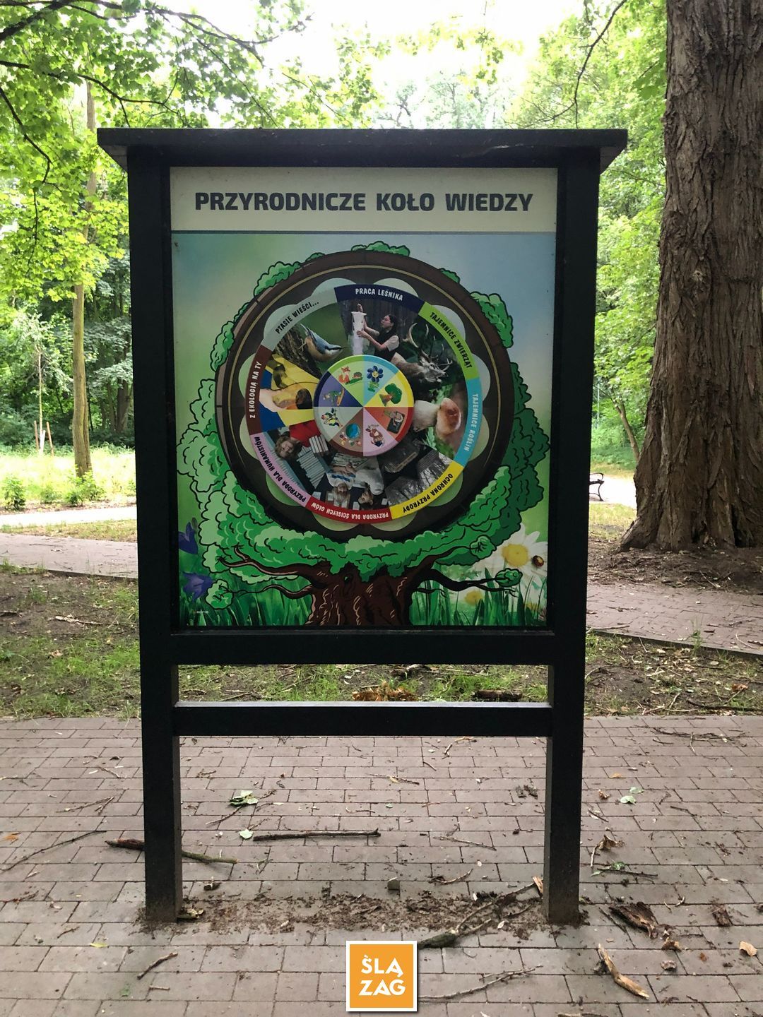 Sosnowiec-Dębowa Gora. Bulwary Czarnej Przemszy Park Edukacyjno–Przyrodniczy. 1 Lipca 2026