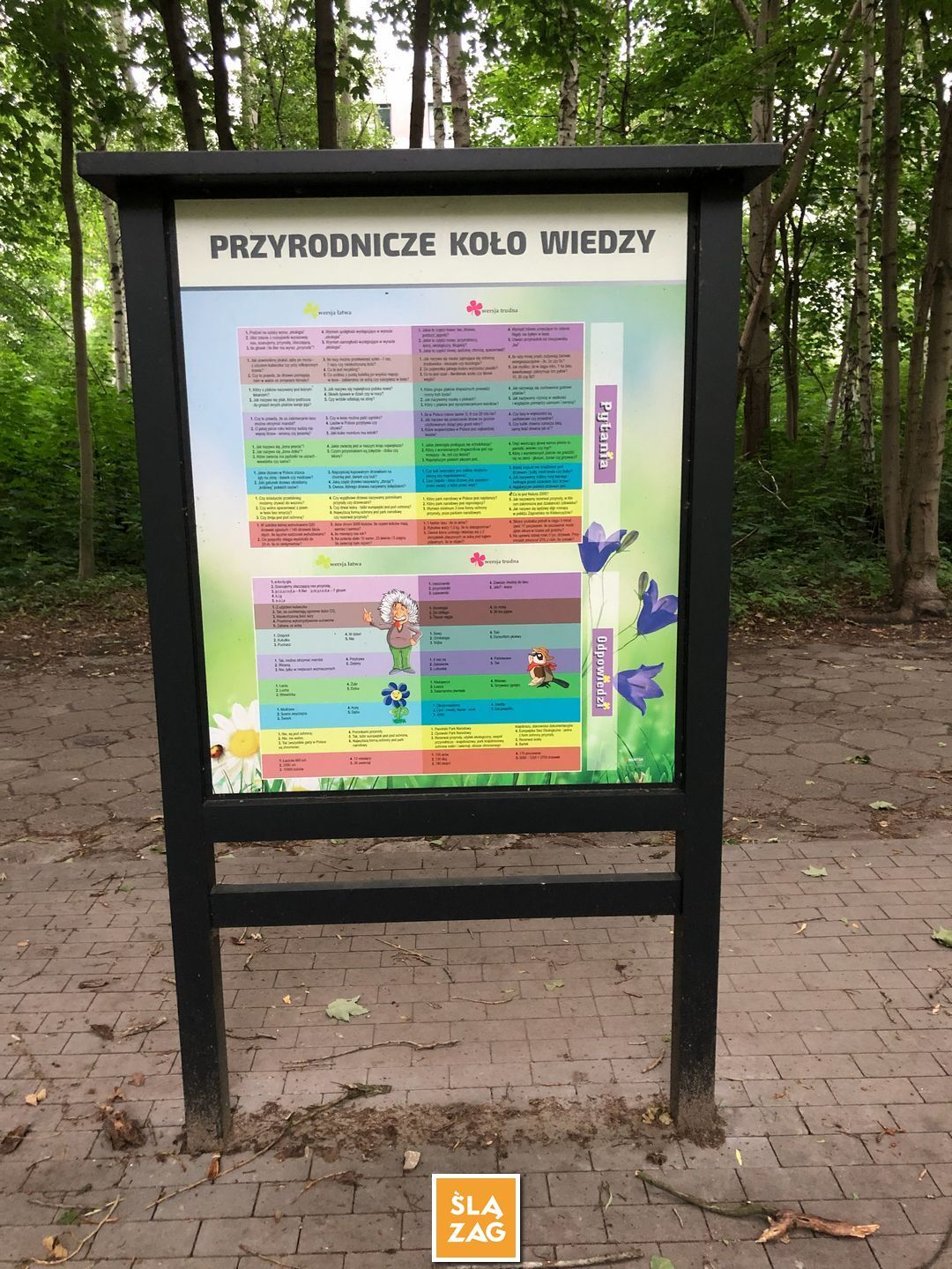 Sosnowiec-Dębowa Gora. Bulwary Czarnej Przemszy Park Edukacyjno–Przyrodniczy. 1 Lipca 2026