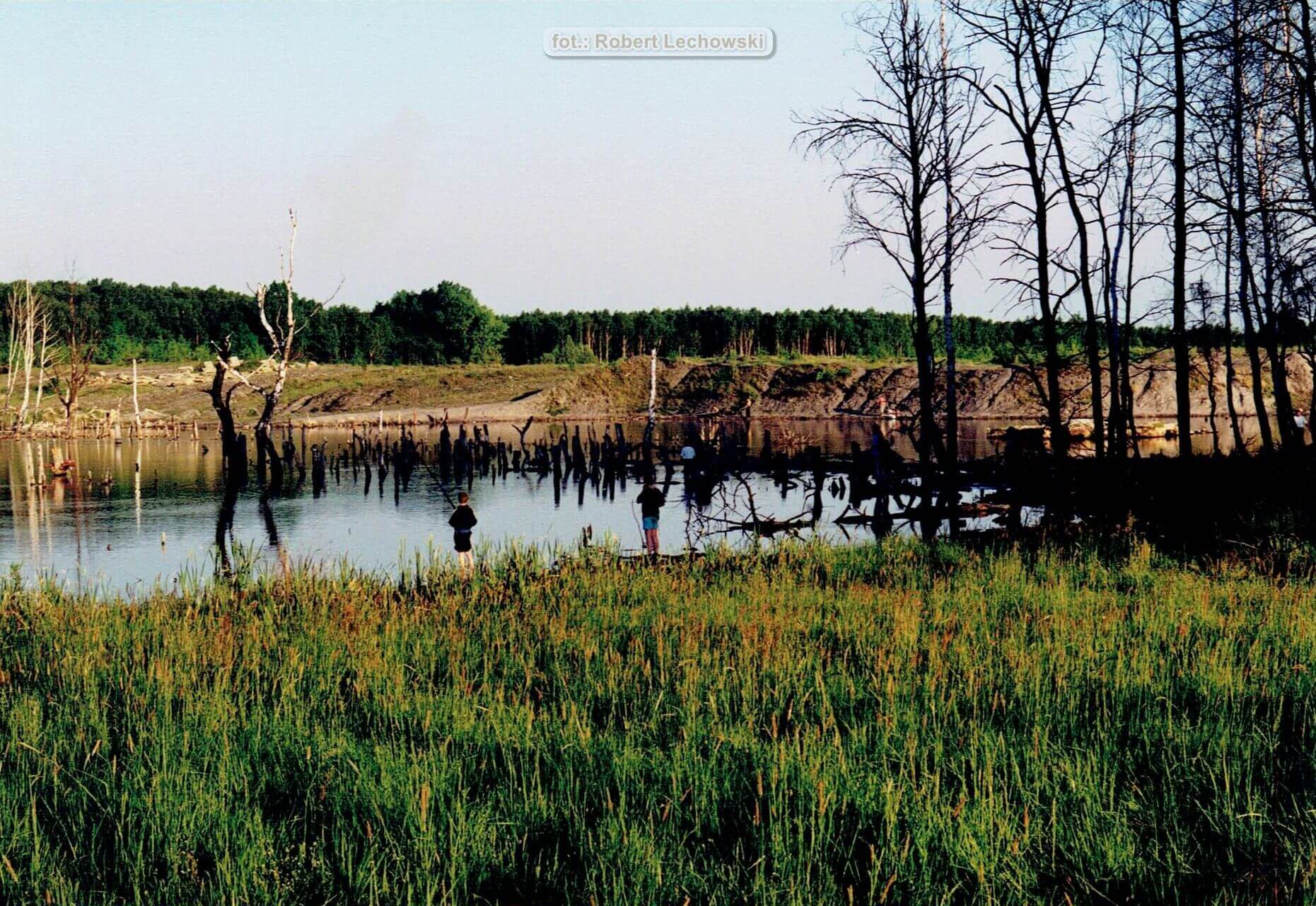 Sosnowiec. Las Zagórski. Zapadliska pokopalniane KWK Porąbka-Klimontów. Lata 1997 – 2001.