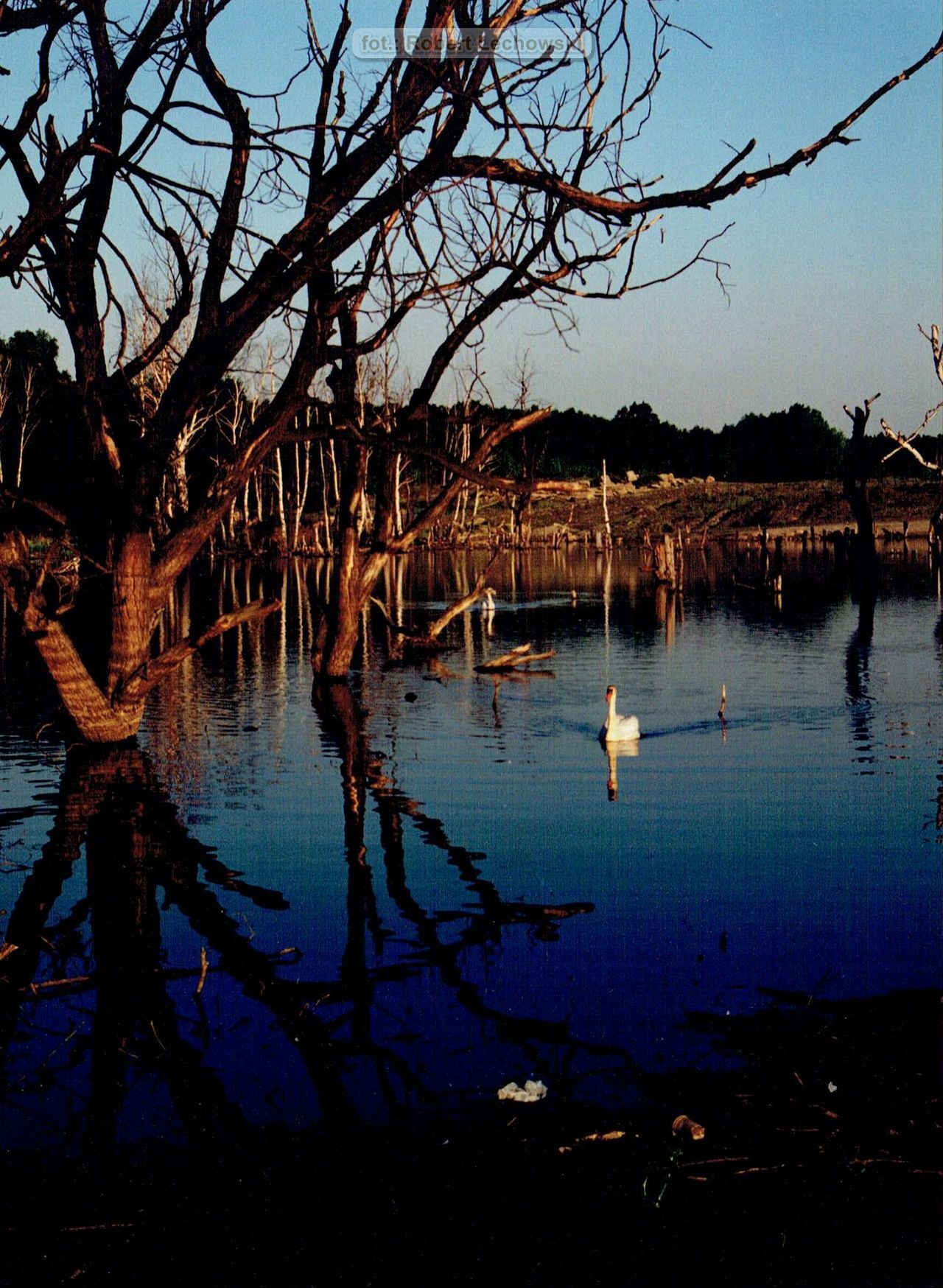 Sosnowiec. Las Zagórski. Zapadliska pokopalniane KWK Porąbka-Klimontów. Lata 1997 – 2001.