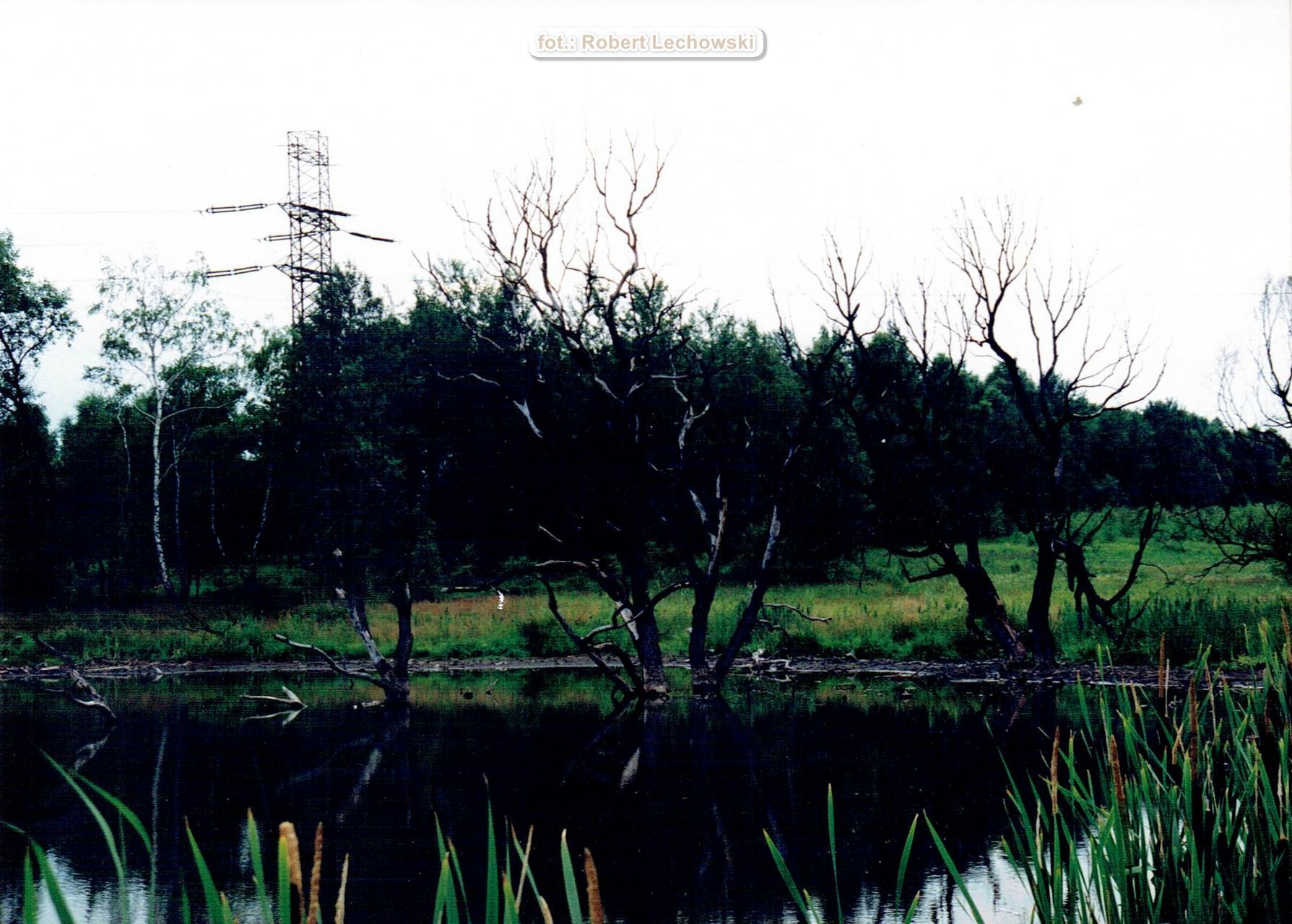 Sosnowiec. Las Zagórski. Zapadliska pokopalniane KWK Porąbka-Klimontów. Lata 1997 – 2001.