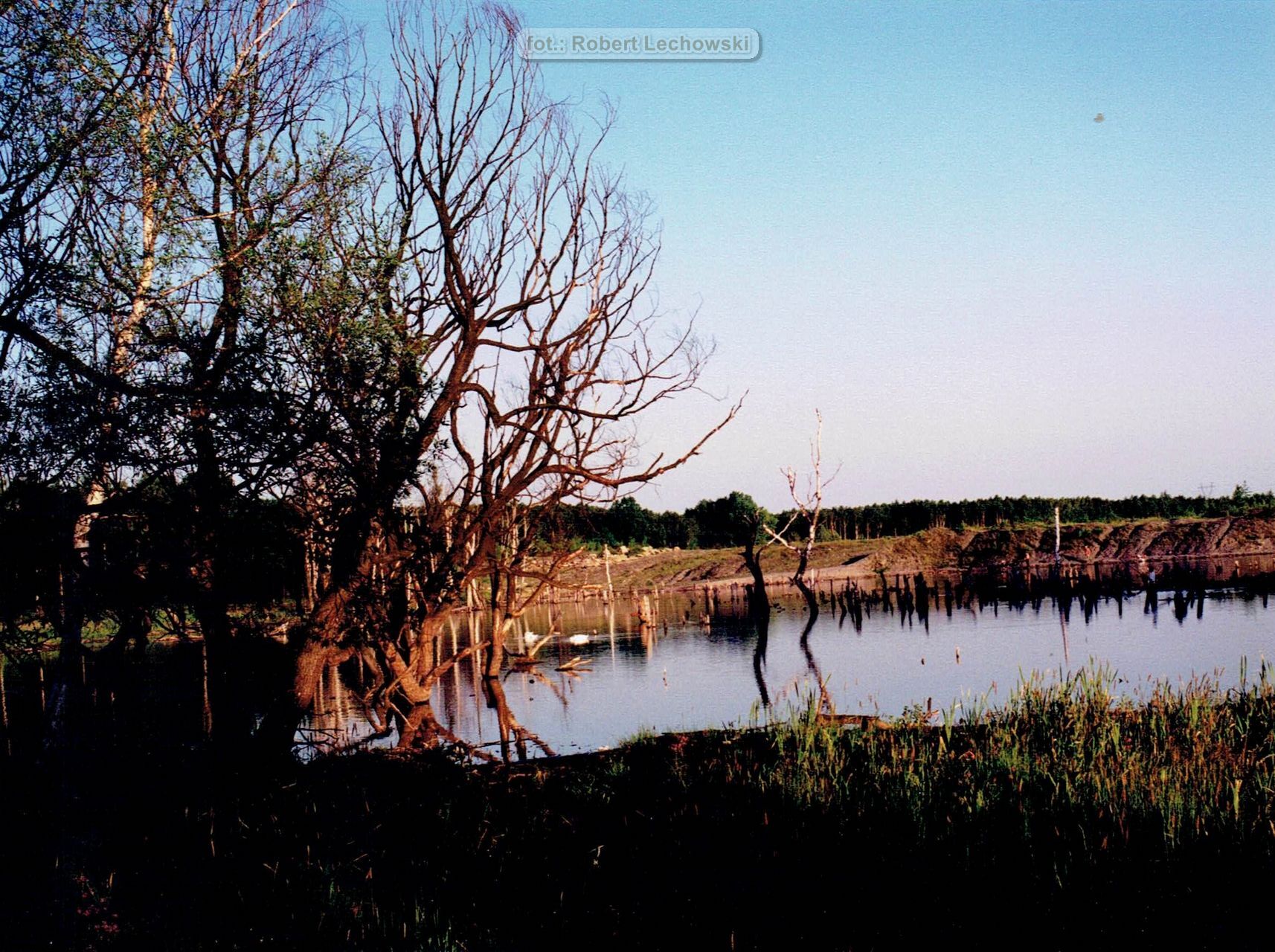 Sosnowiec. Las Zagórski. Zapadliska pokopalniane KWK Porąbka-Klimontów. Lata 1997 – 2001.