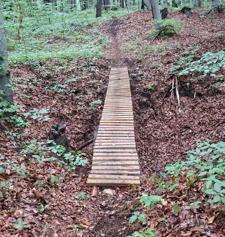 Sosnowiec-Maczki, Dąbrowa Górnicza-Trzebiesławice – lasy Nadleśnictwa Siewierz Lasów Państwowych. Nielegalnie konstrukcje do sportów ekstremalnych na rowerze. Sierpień 2026