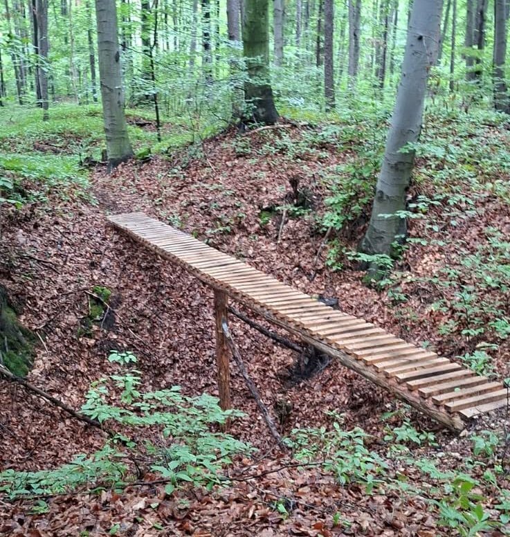 Sosnowiec-Maczki, Dąbrowa Górnicza-Trzebiesławice – lasy Nadleśnictwa Siewierz Lasów Państwowych. Nielegalnie konstrukcje do sportów ekstremalnych na rowerze. Sierpień 2026