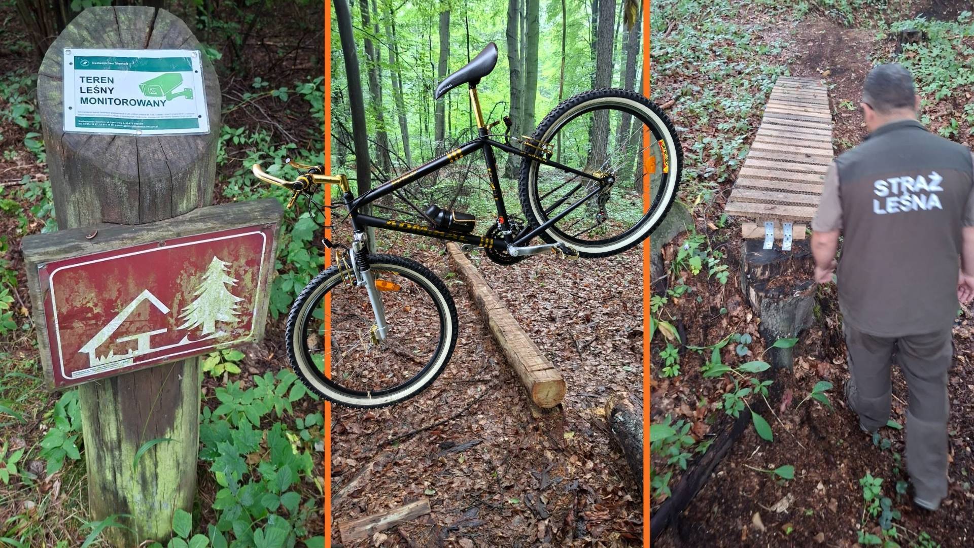 Nielegalne konstrukcje do akrobacji rowerowych znikną z lasów. Rowerzyści są mile widziane, o ile nie rozjeżdżają przyrody i ludzi