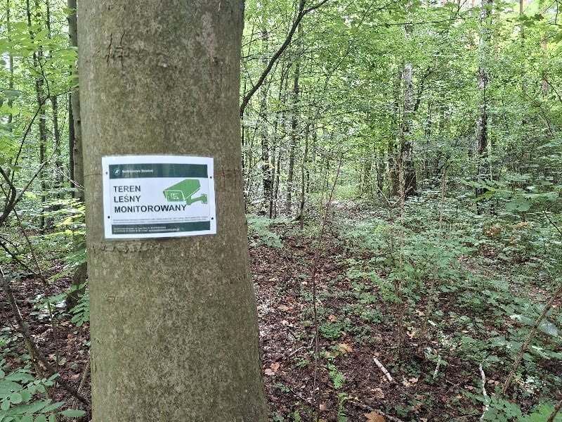 Sosnowiec-Maczki, Dąbrowa Górnicza-Trzebiesławice – lasy Nadleśnictwa Siewierz Lasów Państwowych. Tablice informacyjne. Sierpień 2026