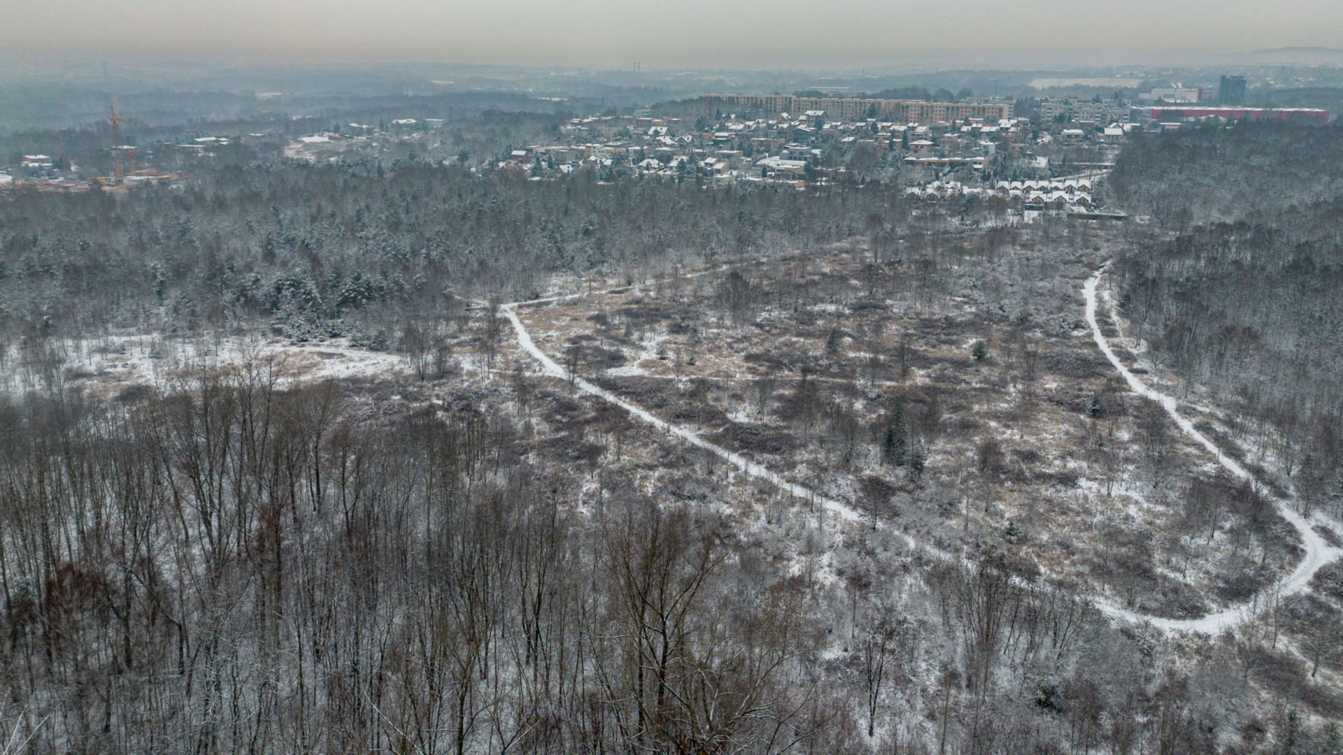 Sosnowiec-Milowice. Park Tysiąclecia zimą.