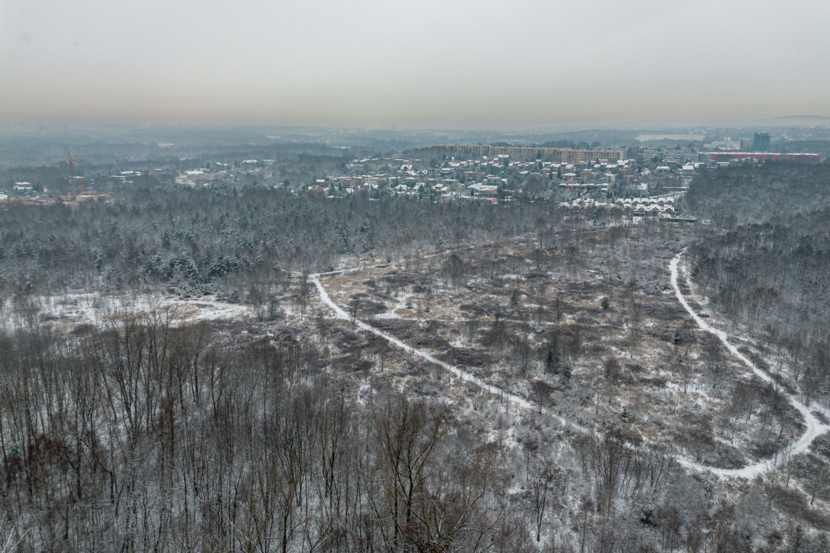 Sosnowiec-Milowice. Park Tysiąclecia zimą.