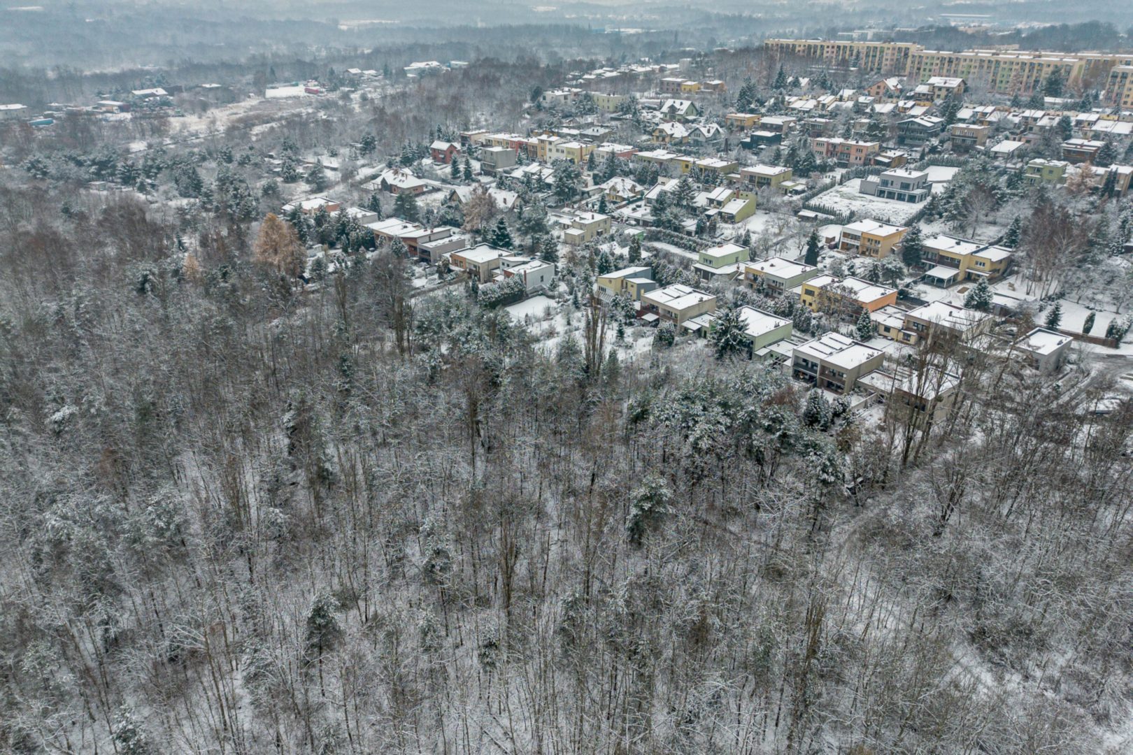 Sosnowiec-Milowice. Park Tysiąclecia zimą.