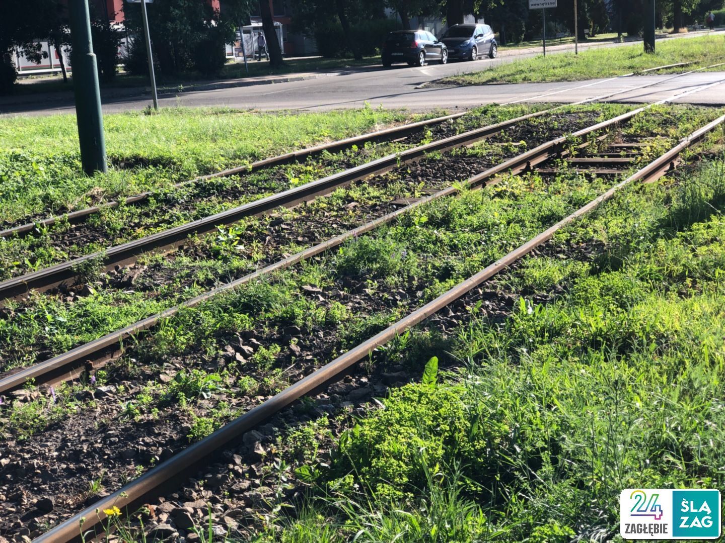 Sosnowiec-Milowice. Torowisko tramwajowe przy ulicy Krzysztofa Kamila Baczyńskiego (okolice ulicy Przygranicznej). 30 czerwca 2025.