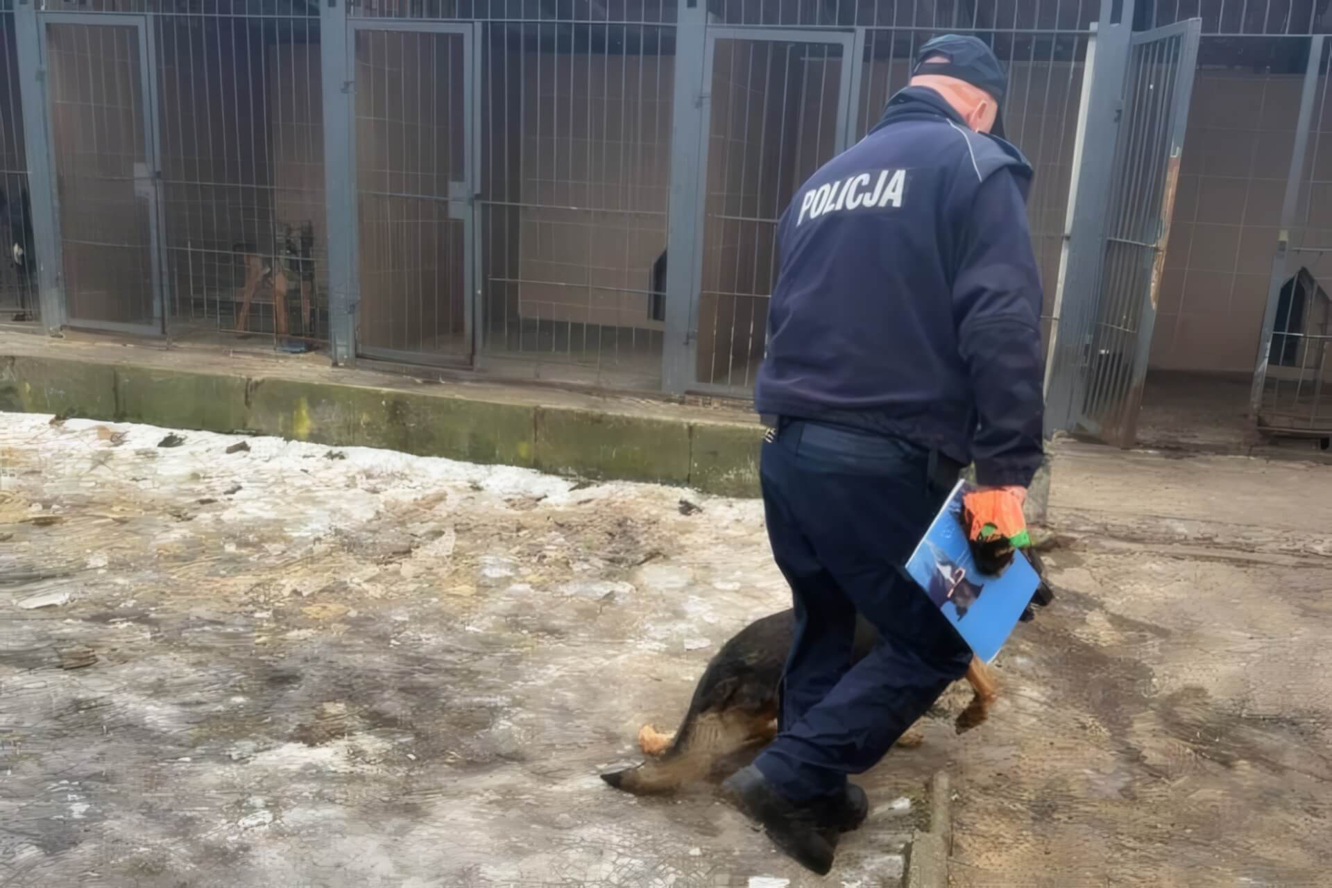 Sosnowiec-Niwka. IV Komisariat KMP w Sosnowcu. Interwencja poselska Łukasza Litewki w sprawie warunków, jakie ma policyjny pies. 31 stycznia 2026.
