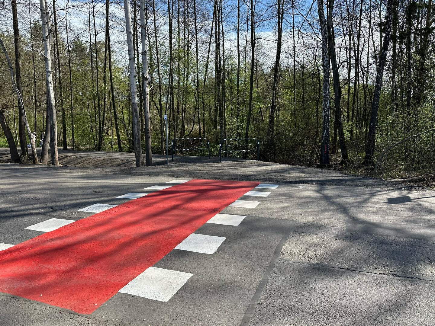 Sosnowiec. Nowe drogi dla rowerów. Maj 2025.