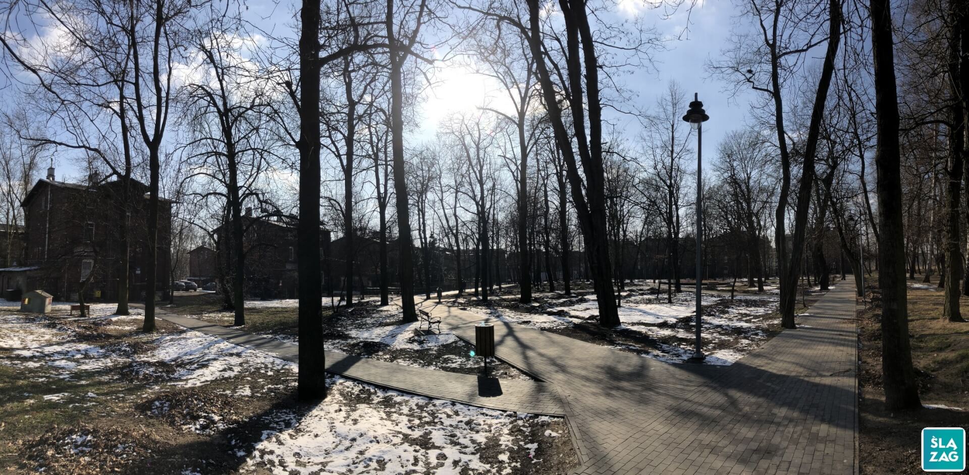 Park im. Mariana Maliny w Sosnowcu. 19 lutego 2025.