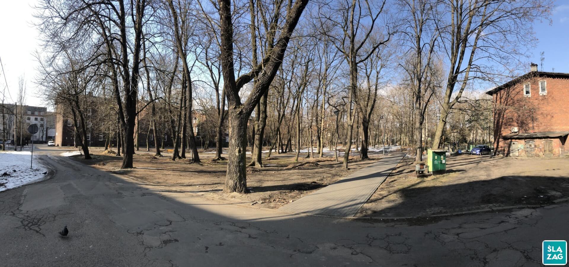 Park im. Mariana Maliny w Sosnowcu. 19 lutego 2025.