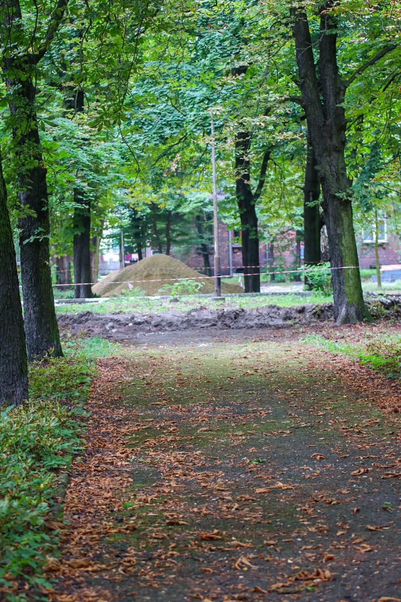 Park im. Mariana Maliny w Sosnowcu. Prace rewitalizacyjne. 2024 rok.