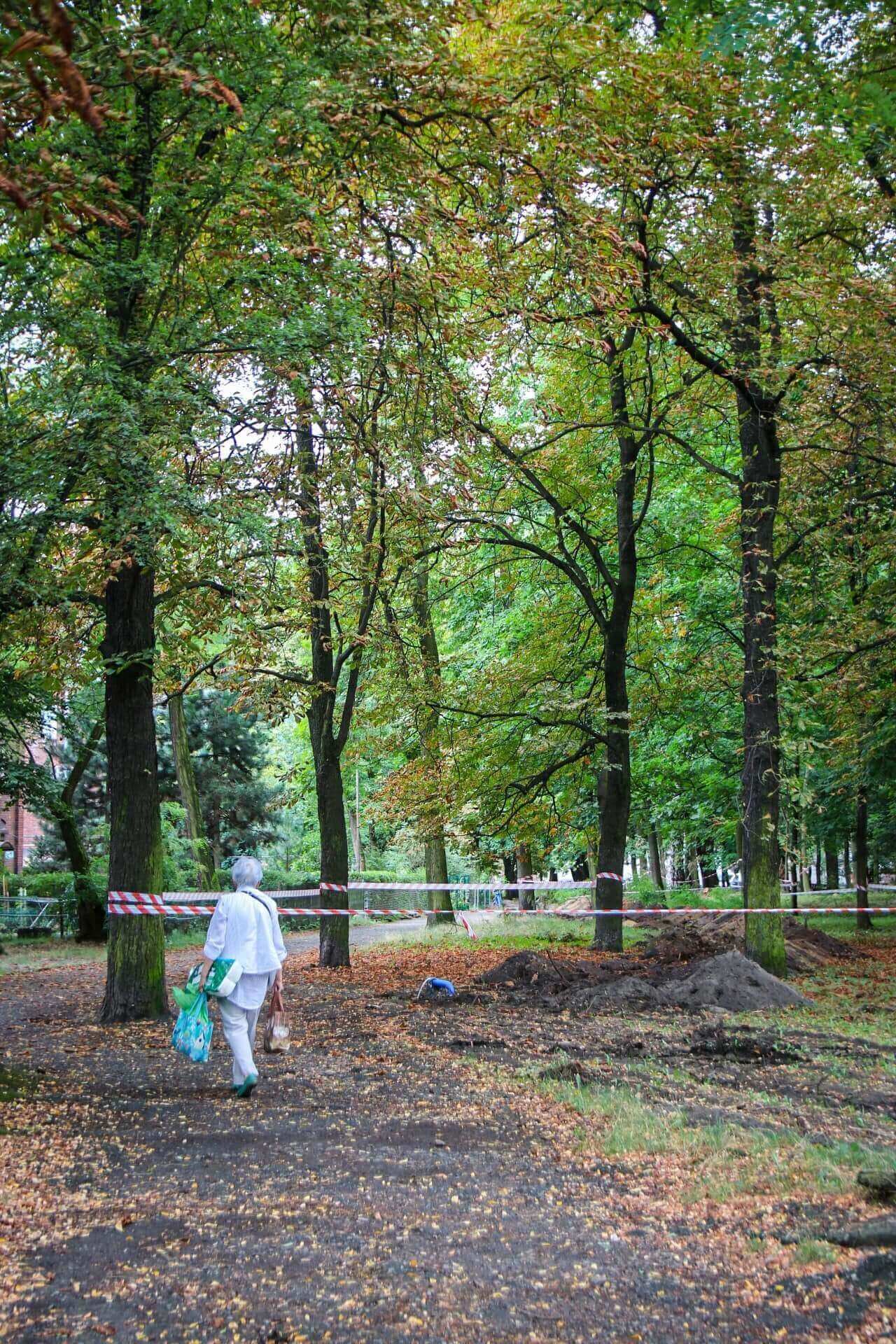 Park im. Mariana Maliny w Sosnowcu. Prace rewitalizacyjne. 2024 rok.
