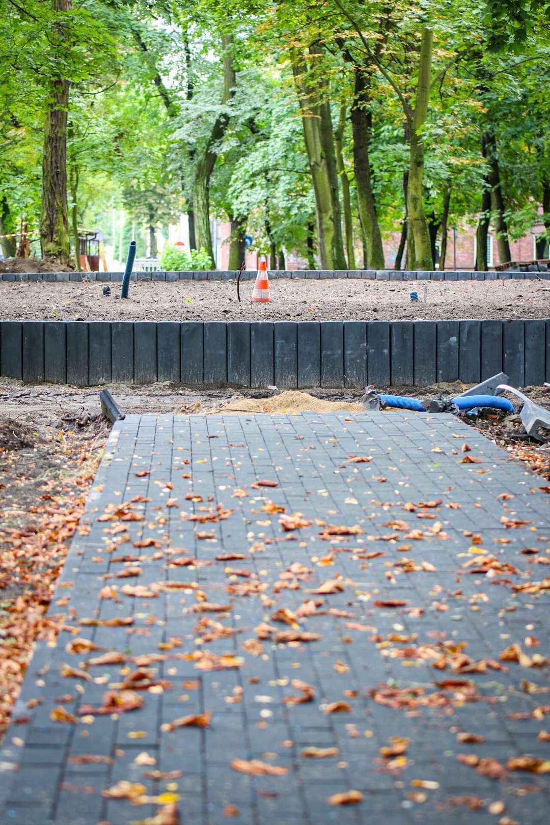 Park im. Mariana Maliny w Sosnowcu. Prace rewitalizacyjne. 2024 rok.
