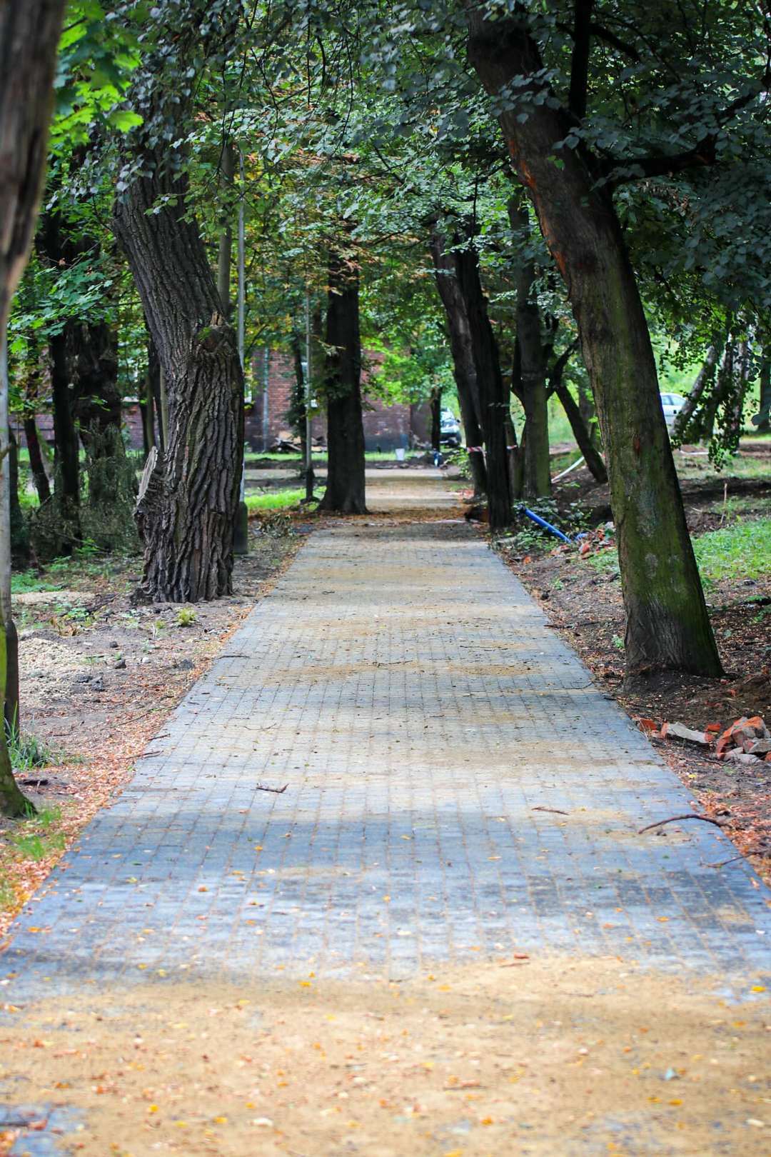 Park im. Mariana Maliny w Sosnowcu. Prace rewitalizacyjne. 2024 rok.