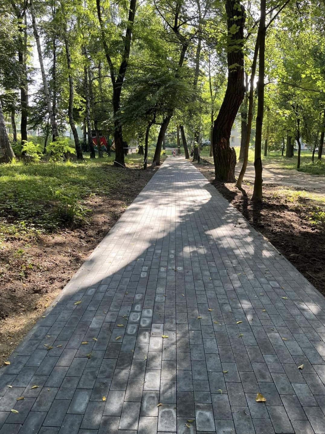 Park im. Mariana Maliny w Sosnowcu. Prace rewitalizacyjne. 2024 rok.