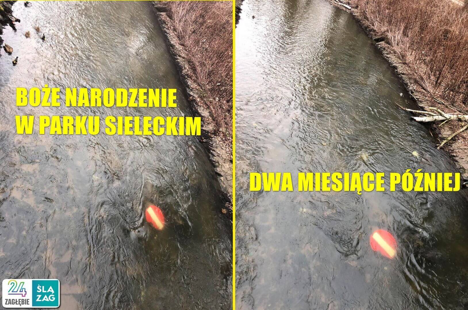 Sosnowiec. Czarna Przemsza w Parku Sieleckim. Znak, który leżał w wodzie kilka miesięcy. 28 grudnia 2024 i 12 lutego 2025.