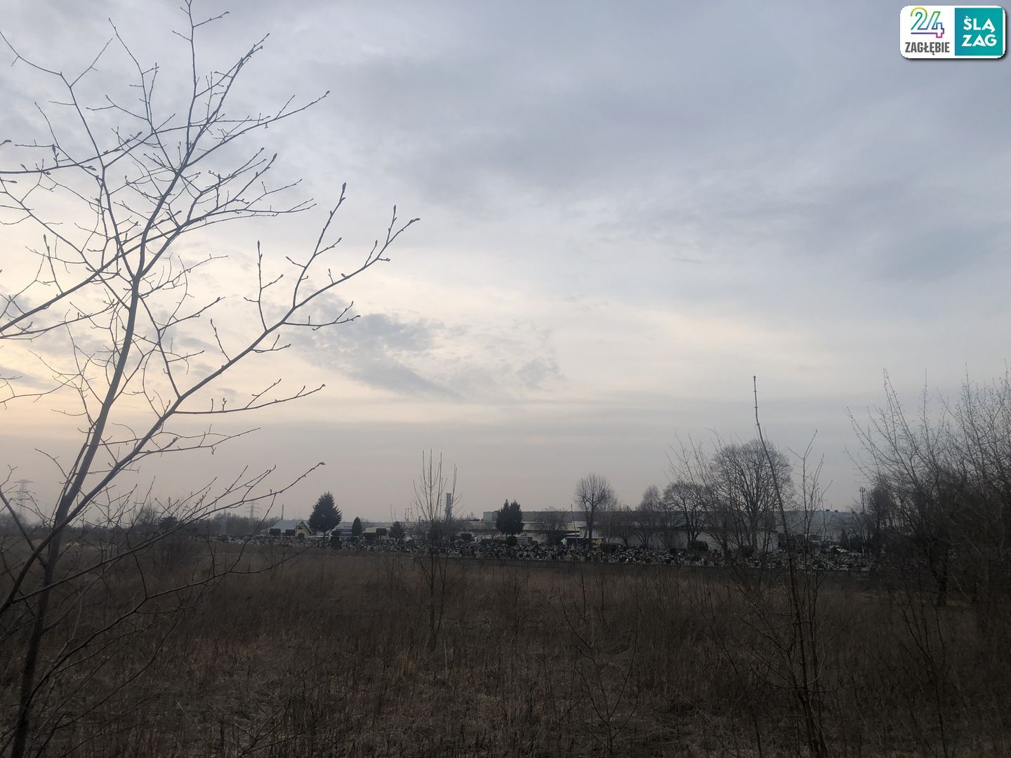 Sosnowiec. Pekin Katarzyński. 29 marca 2025.