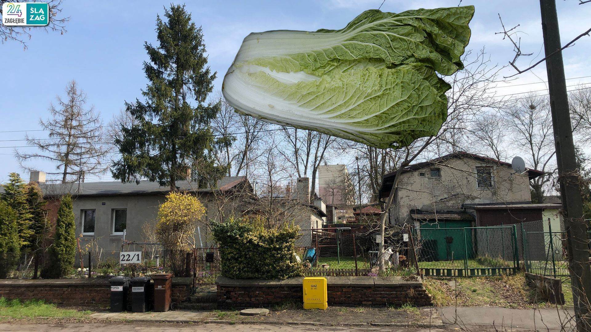 Sosnowiec. Pekin Milowicki. 29 marca 2025.
