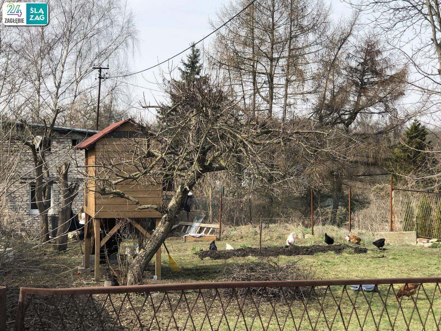 Sosnowiec. Pekin Milowicki. 29 marca 2025.